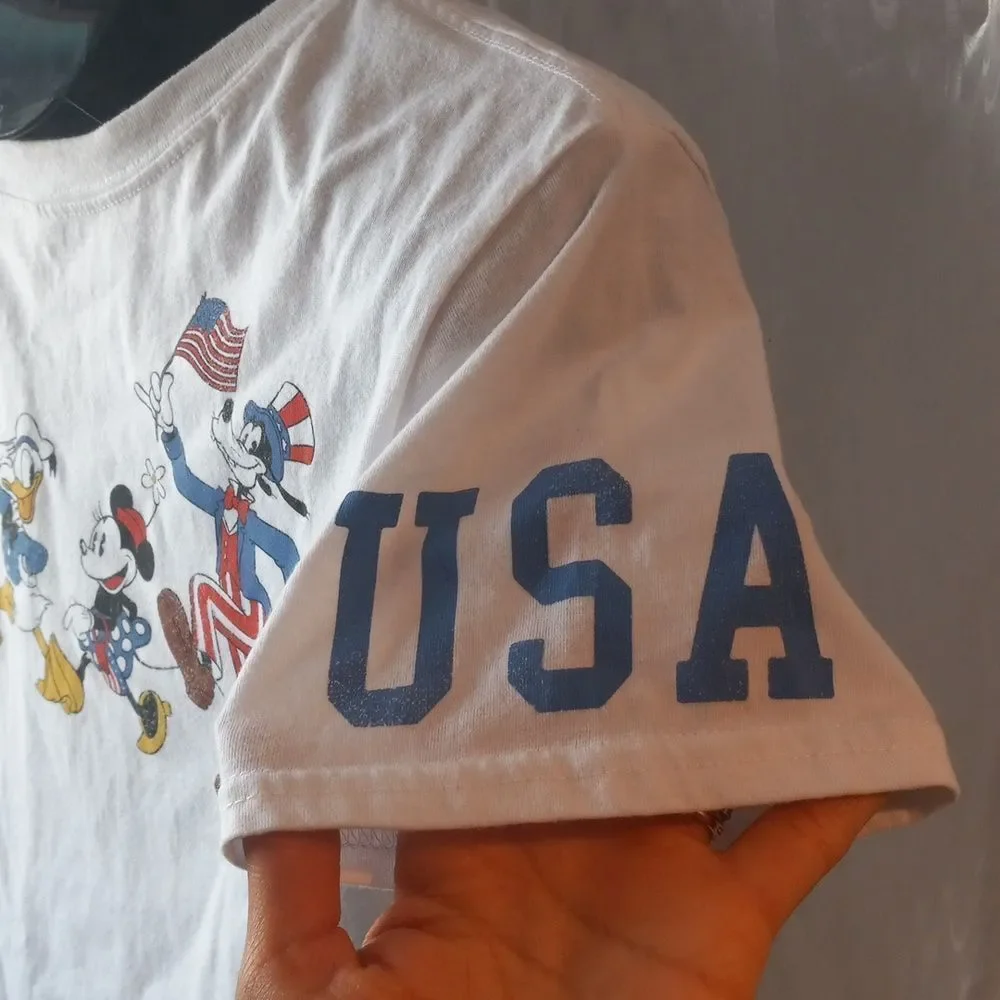 Disney usa mickey